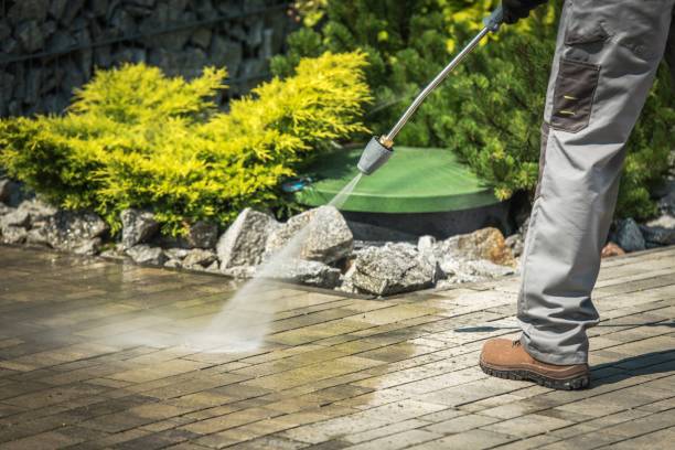 Best Solar Panel Cleaning  in Hutchison, VA