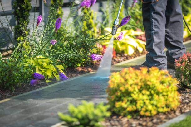 Best Patio and Deck Pressure Washing  in Hutchison, VA