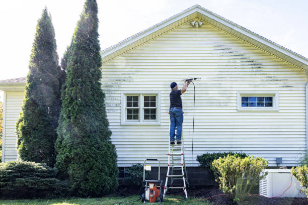 Best Dumpster Area Cleaning  in Hutchison, VA